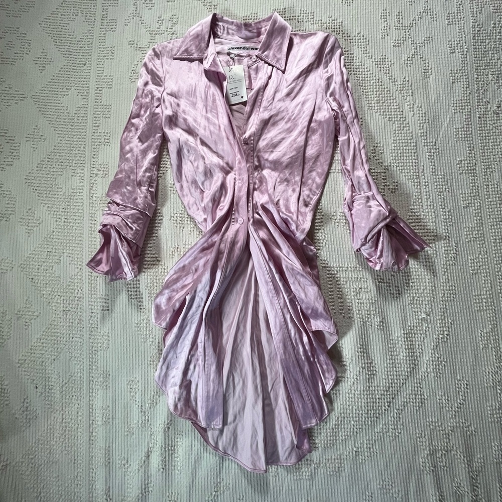 Alexander Wang Light Pink Satin Shirt Dress